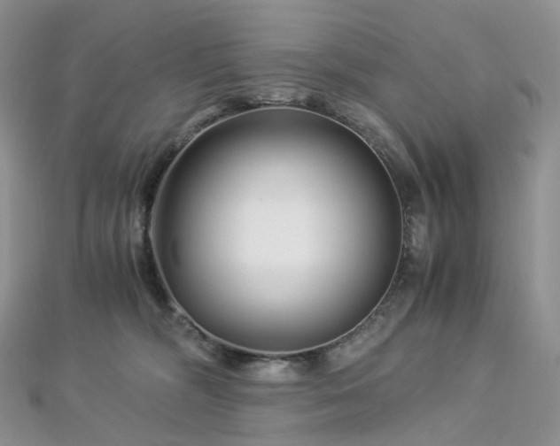 X0000112900326200908211522