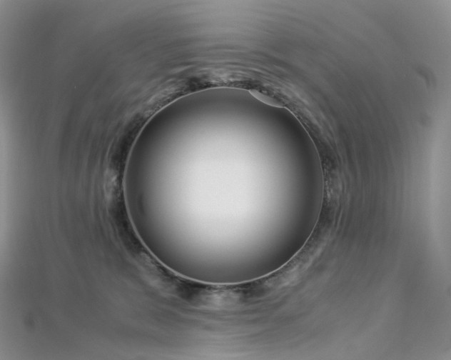 X0000112900327200908211522