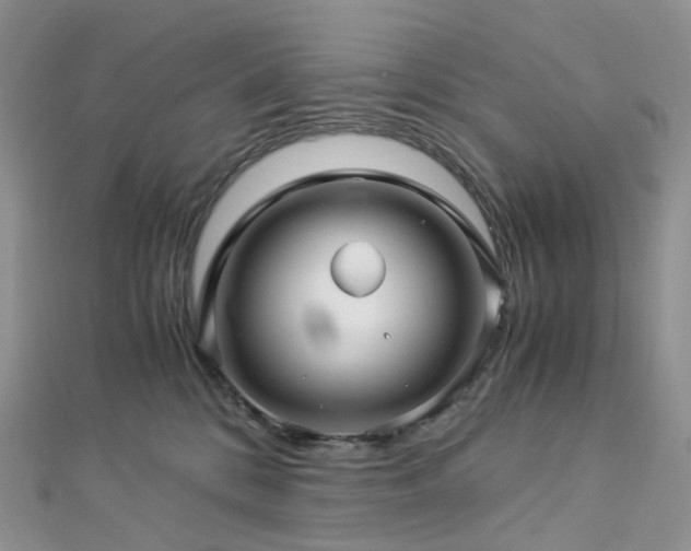 X0000112900328200908211522