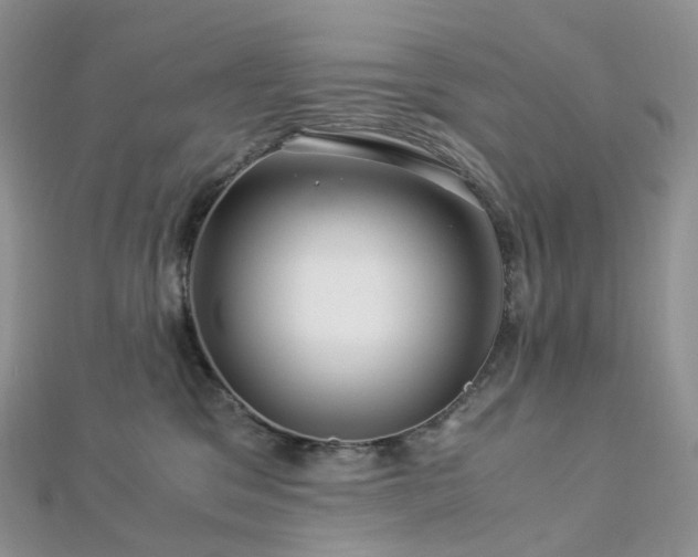 X0000112900329200908211522