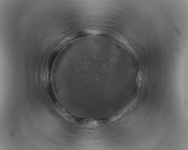 X0000112900330200908211522