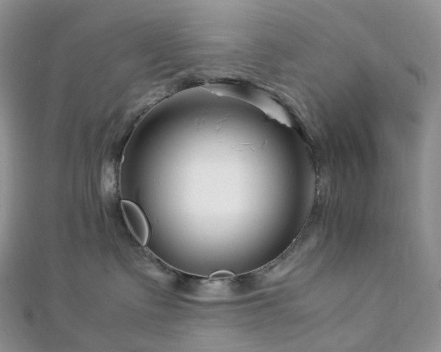 X0000112900335200908211522