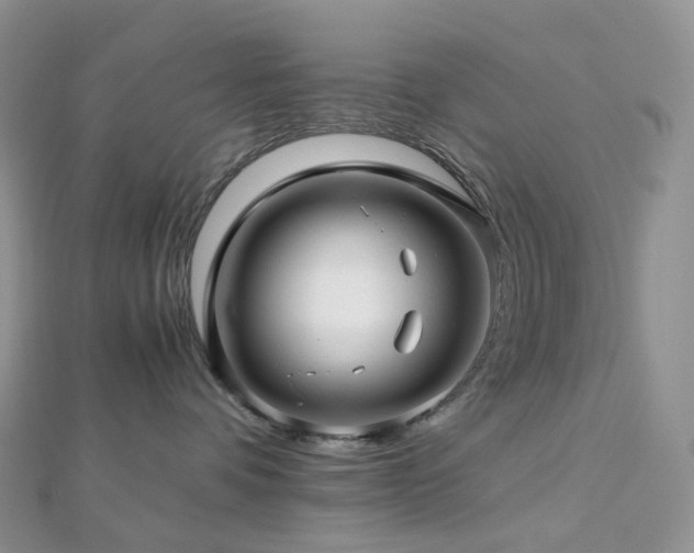 X0000112900336200908211522