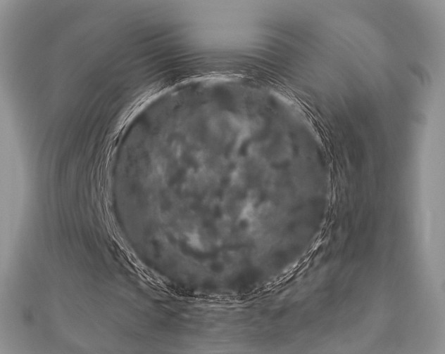 X0000112900337200908211521