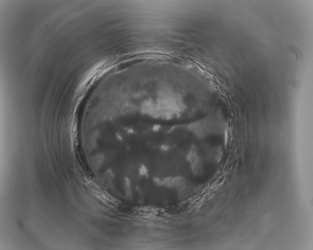 X0000112900339200908211521