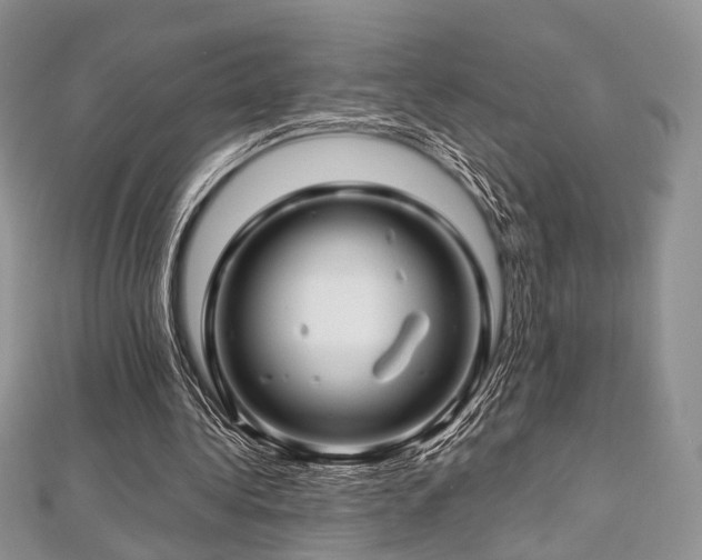 X0000112900340200908211521