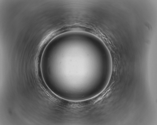 X0000112900341200908211521