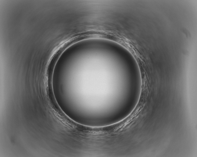 X0000112900342200908211521