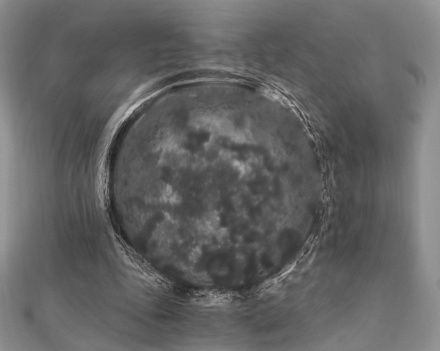 X0000112900343200908211521