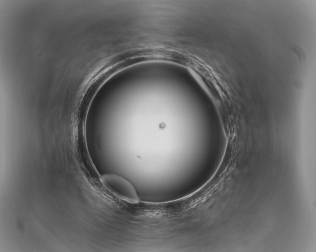 X0000112900344200908211521