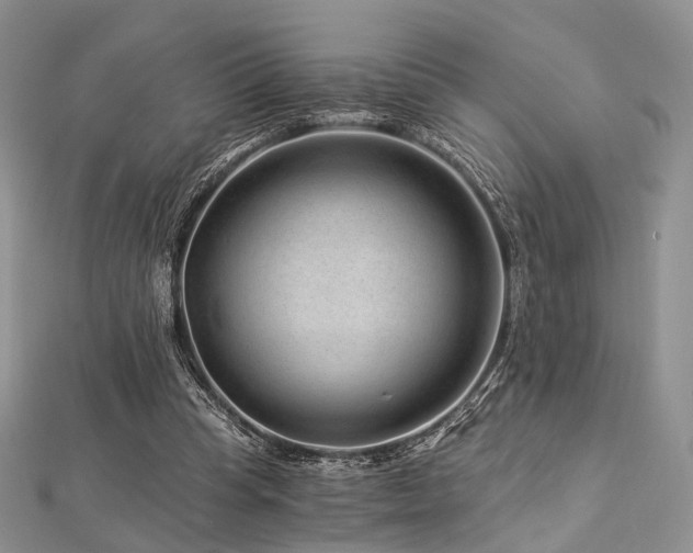 X0000112900345200908211521