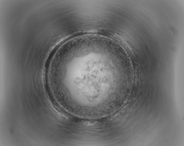 X0000112900346200908211521