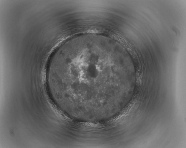 X0000112900347200908211521