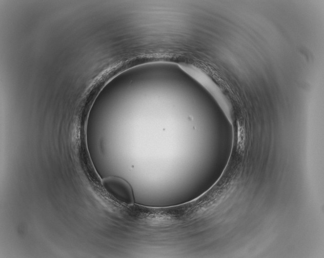 X0000112900348200908211521