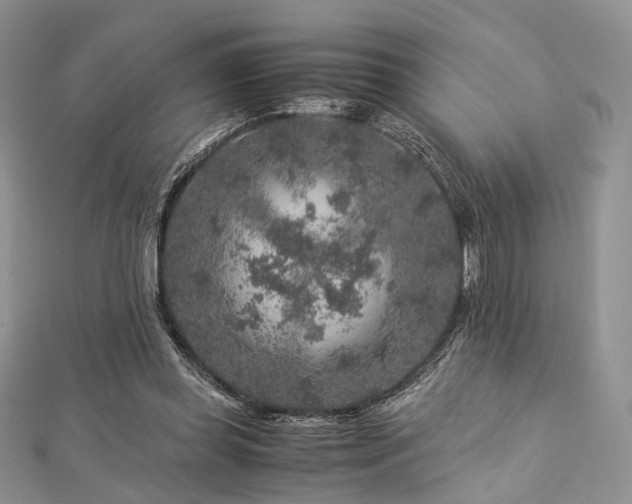 X0000112900349200908211521