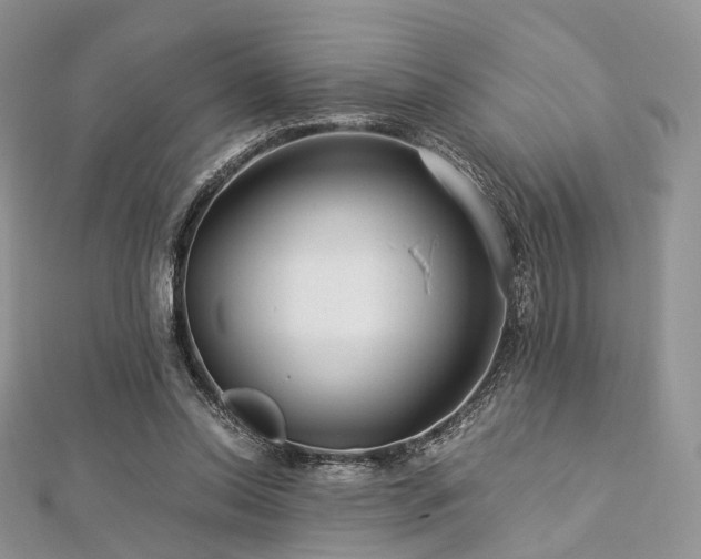 X0000112900350200908211521