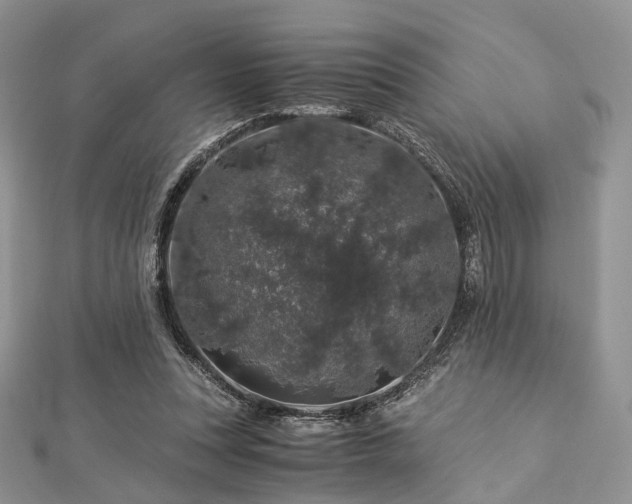 X0000112900351200908211521