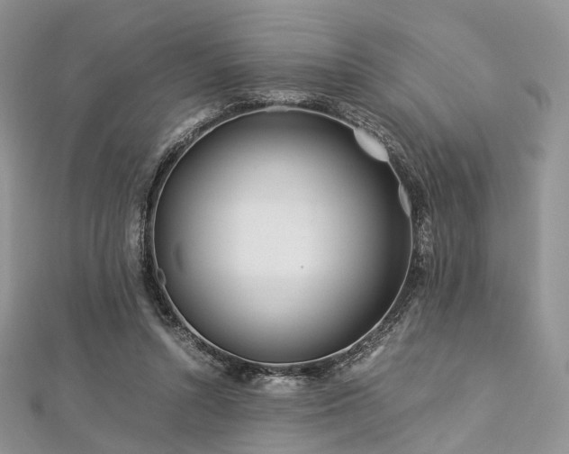 X0000112900352200908211521