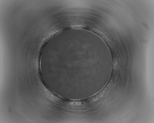 X0000112900353200908211521