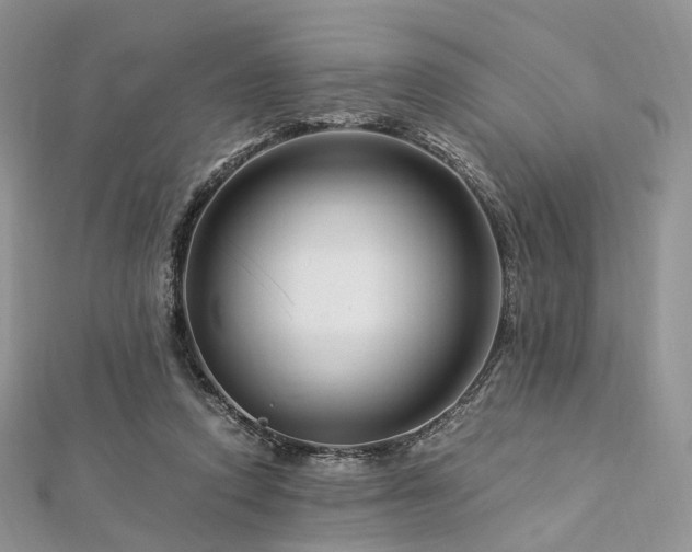 X0000112900354200908211521