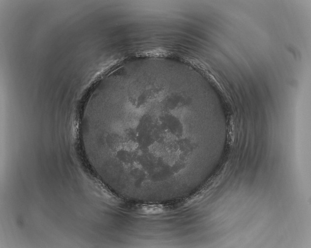 X0000112900355200908211521