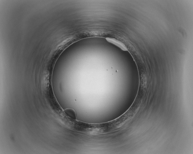 X0000112900356200908211521