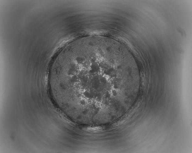 X0000112900357200908211521