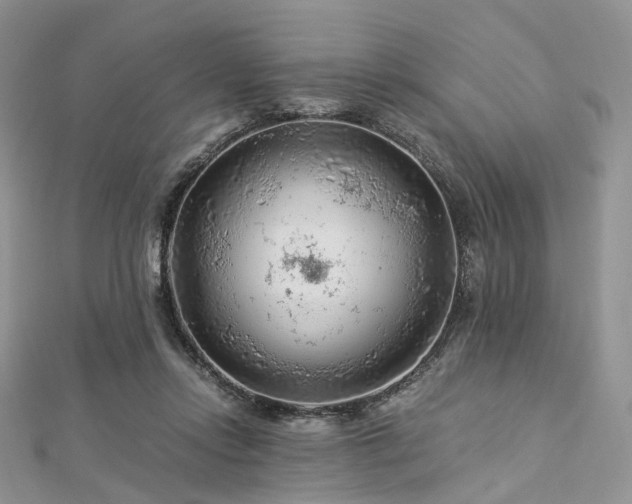 X0000112900358200908211521