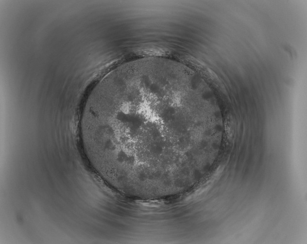 X0000112900359200908211521