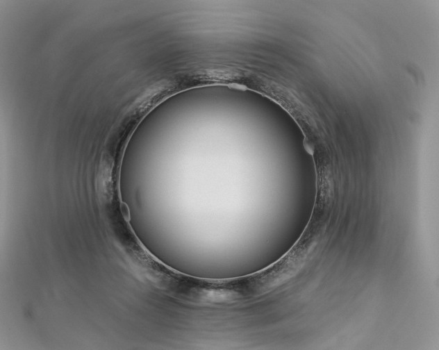 X0000112900360200908211521