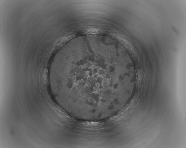 X0000112900361200908211521