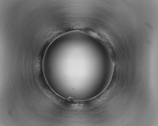 X0000112900362200908211521