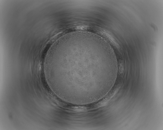 X0000112900363200908211521