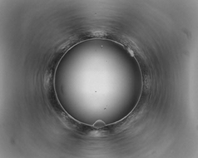 X0000112900364200908211521