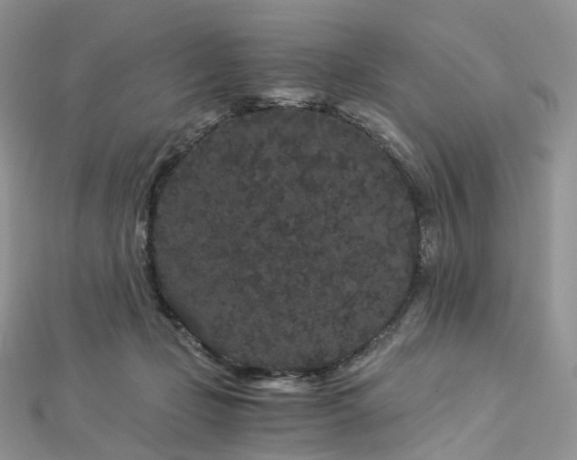 X0000112900365200908211521