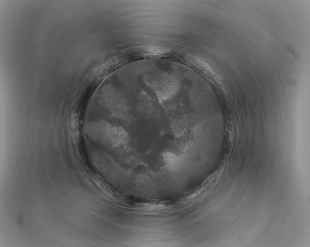 X0000112900366200908211521