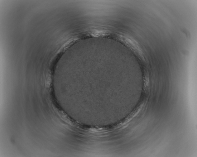 X0000112900367200908211521