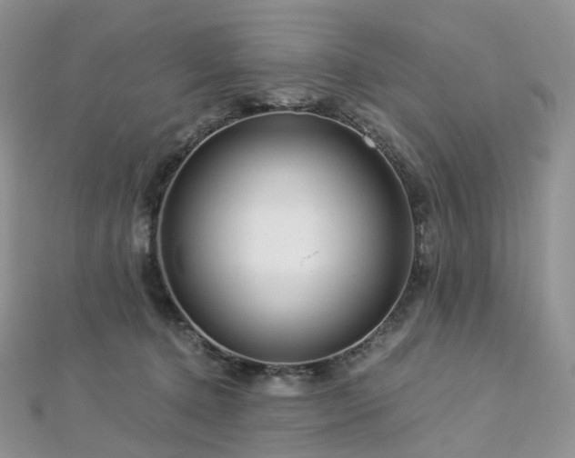 X0000112900368200908211521