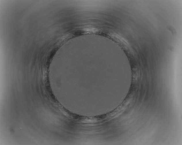 X0000112900369200908211521