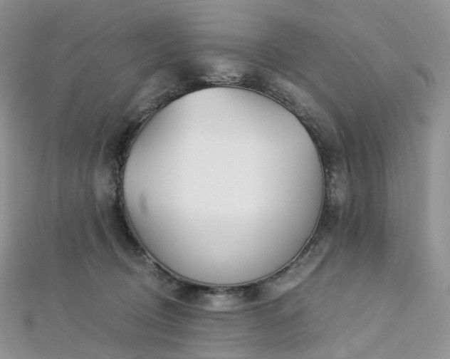 X0000112900370200908211522