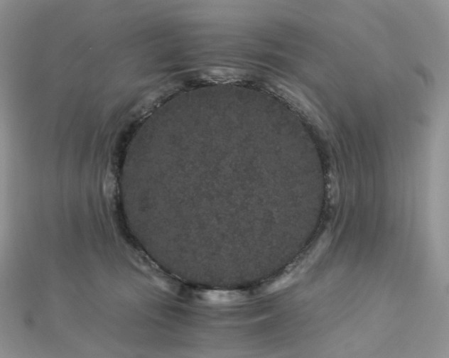 X0000112900371200908211522