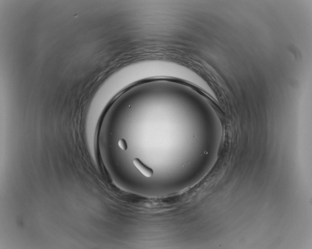 X0000112900372200908211522