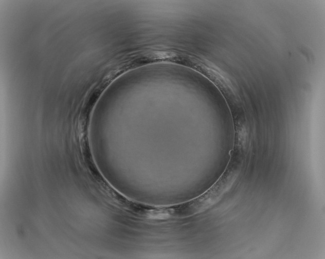 X0000112900373200908211522