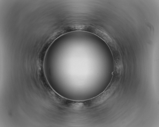 X0000112900374200908211522