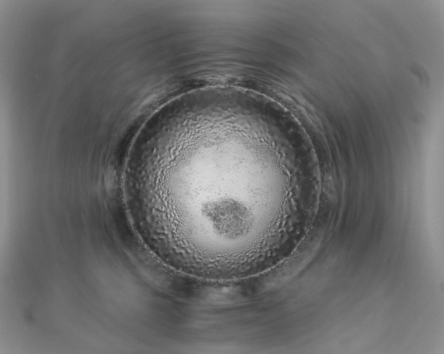 X0000112900375200908211522