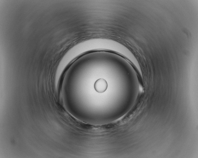 X0000112900376200908211522