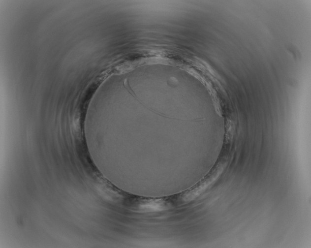 X0000112900377200908211522