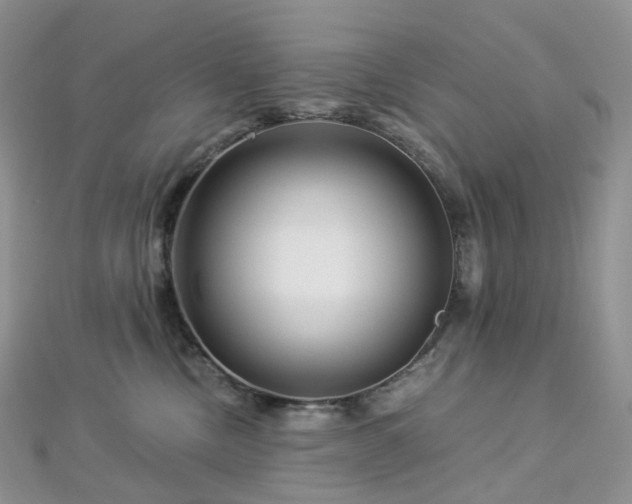 X0000112900378200908211522