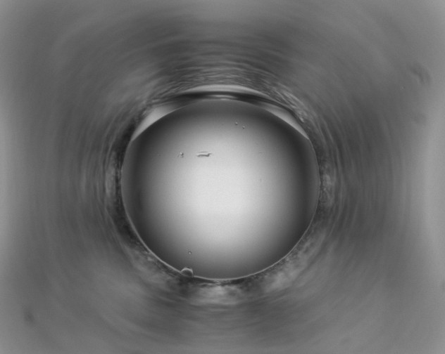 X0000112900379200908211522