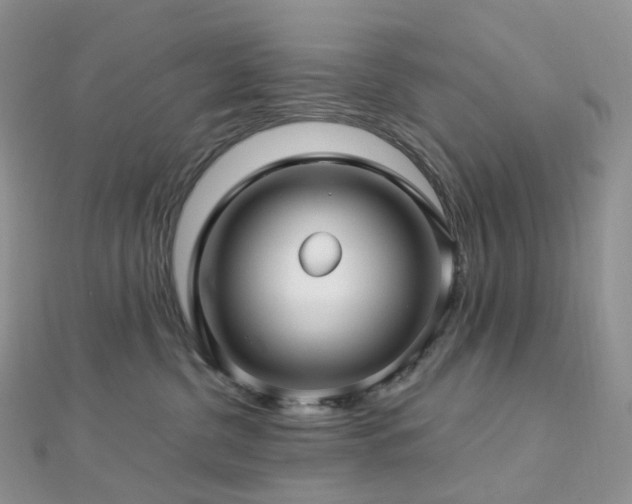 X0000112900380200908211522